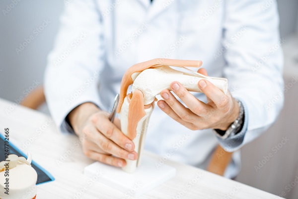 Knee