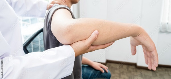 Shoulder
